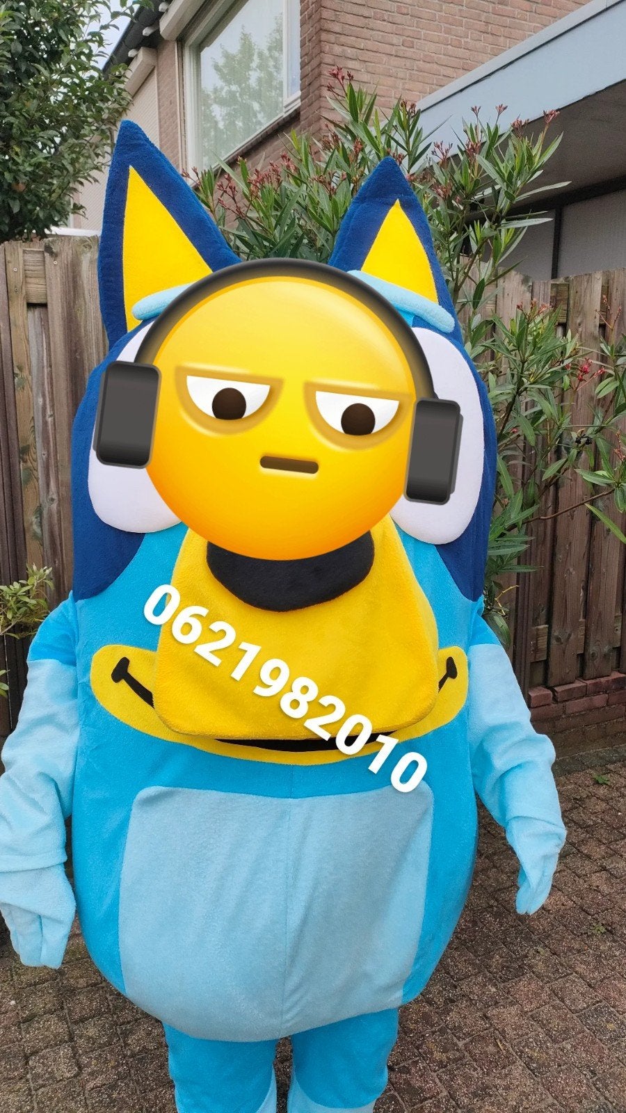 mascotte pak te huur, Ophalen