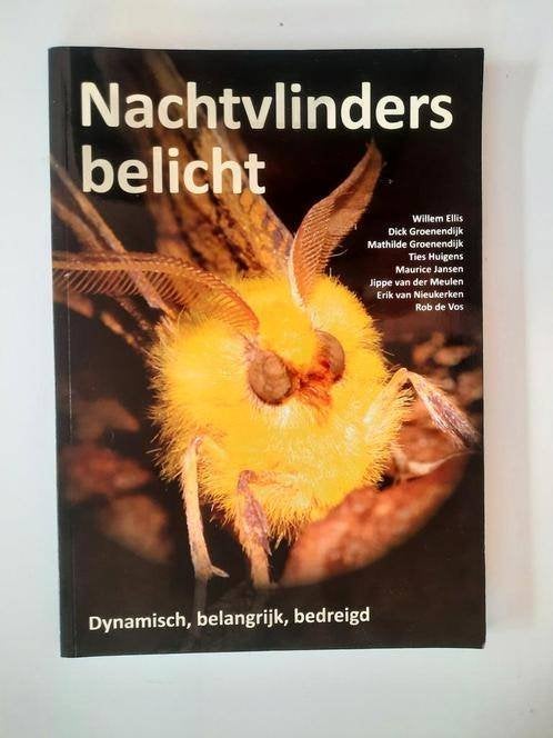 Nachtvlinders belicht . W. Ellis , D. Groenendijk ea, Ophalen of Verzenden, Zo goed als nieuw, Overige onderwerpen, W. Ellis , D. Groenendijk ea