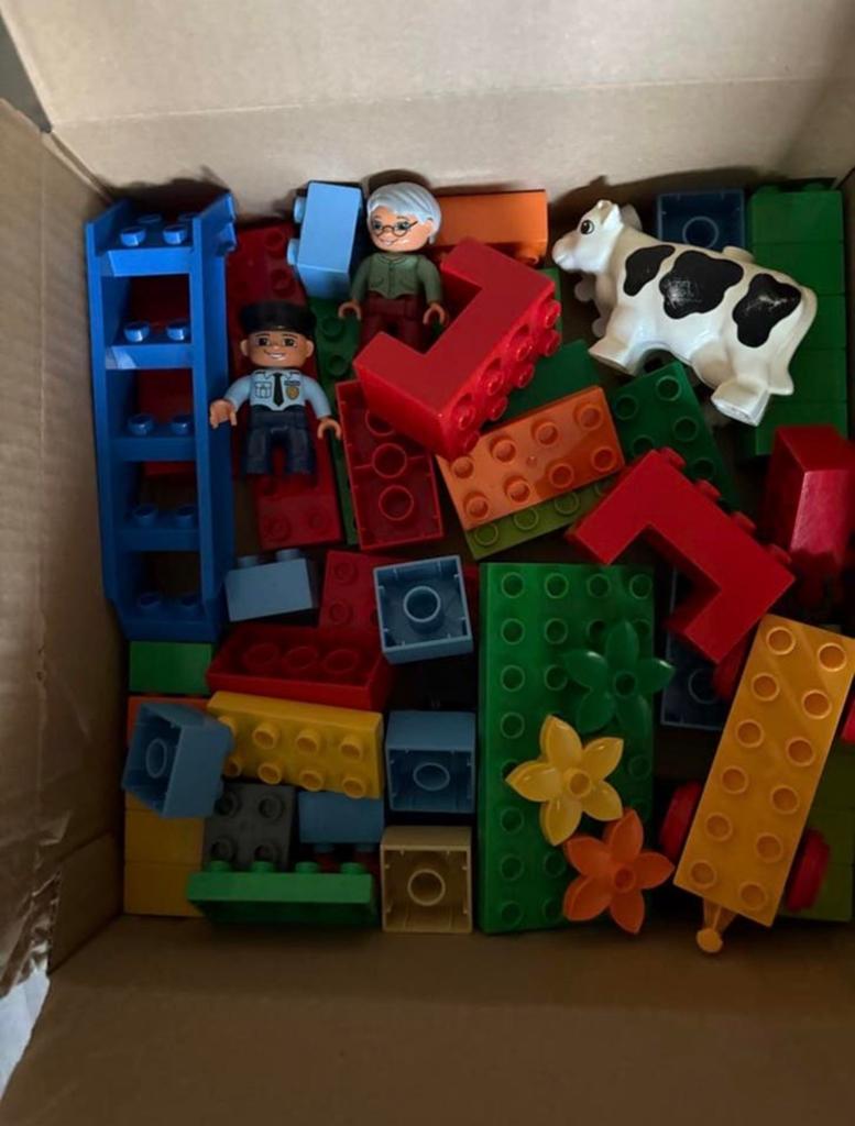 Grote verzameling LEGO Duplo blokken en figuren (50+ stuks), Ophalen of Verzenden, Zo goed als nieuw