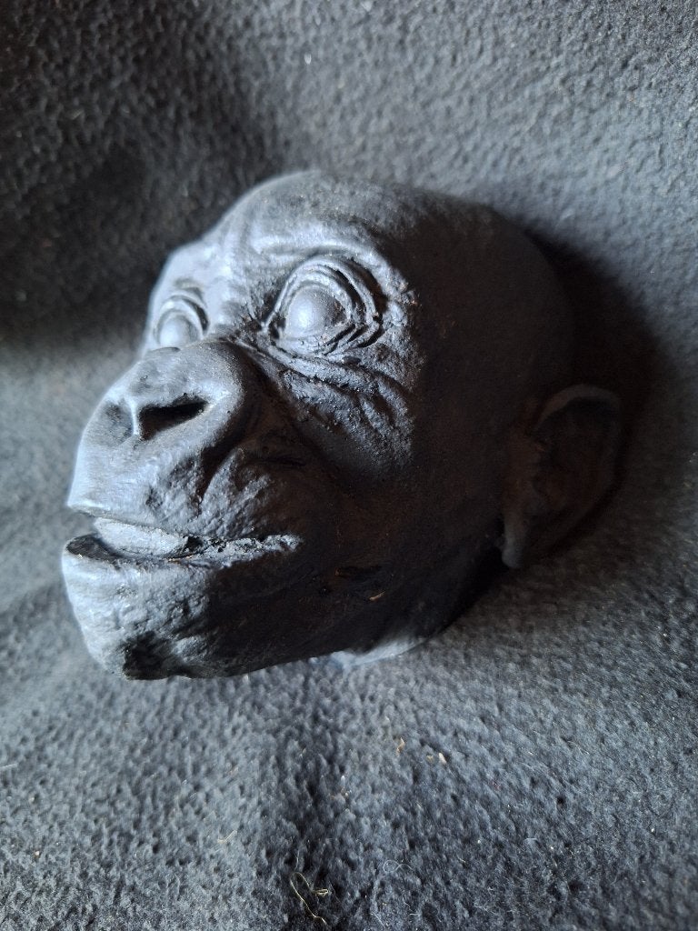 Dodenmasker van een baby Gorilla, Verzamelen, Ophalen of Verzenden, Zo goed als nieuw, Wild dier, Overige typen