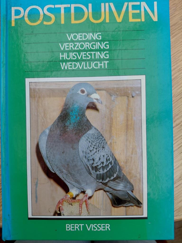 Postduiven, voeding, verzorging, huisvesting, wedvlucht., Ophalen of Verzenden