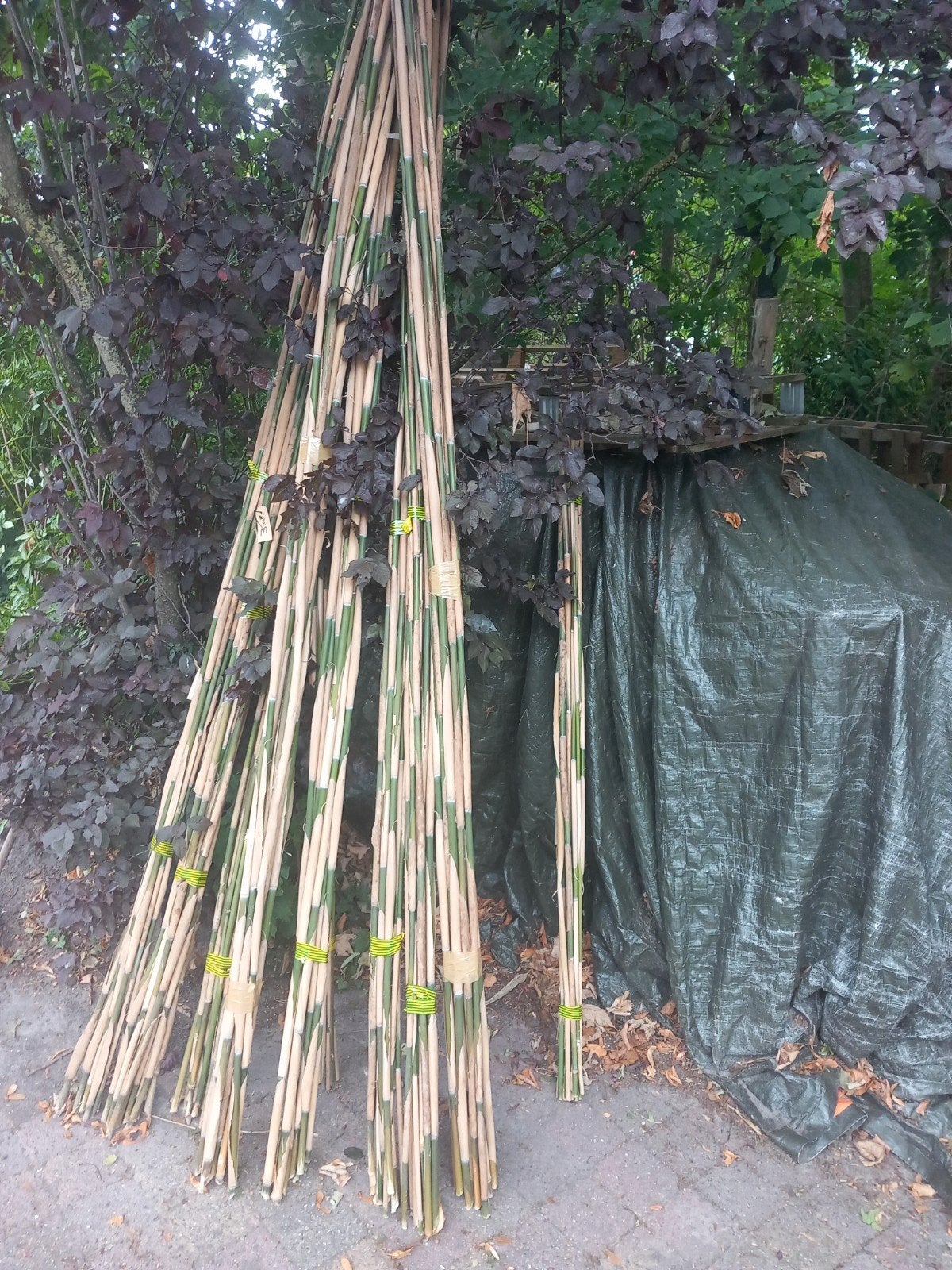bamboe bone hok stokken0 5, Ophalen of Verzenden