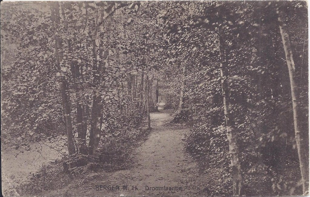 Bergen Droomlaantje Oude Gelopen Ansichtkaart (P962), Ophalen of Verzenden, 1960 tot 1980, Gelopen, Noord-Holland