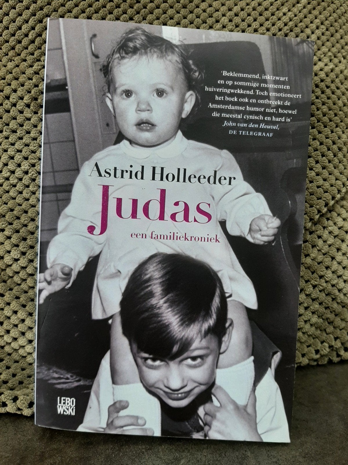 Judas - Astrid Holleeder (Familiekroniek), Ophalen of Verzenden, Gelezen, Astrid Holleeder, Overige
