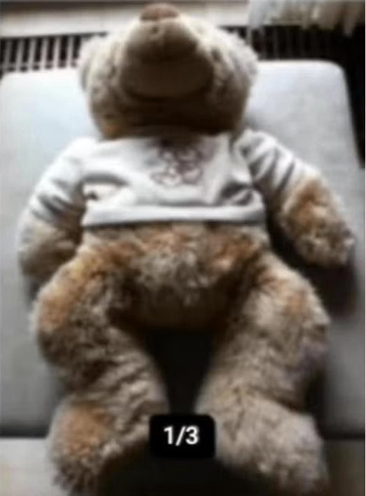 Knuffel beer beige Toys L 55 cm, Overige merken, Beer, Ophalen of Verzenden, Zo goed als nieuw