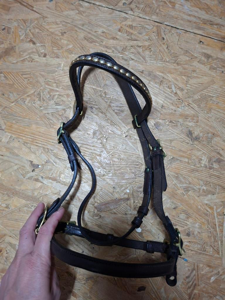 Keurings hoofdstel  bruin pony, Ophalen of Verzenden