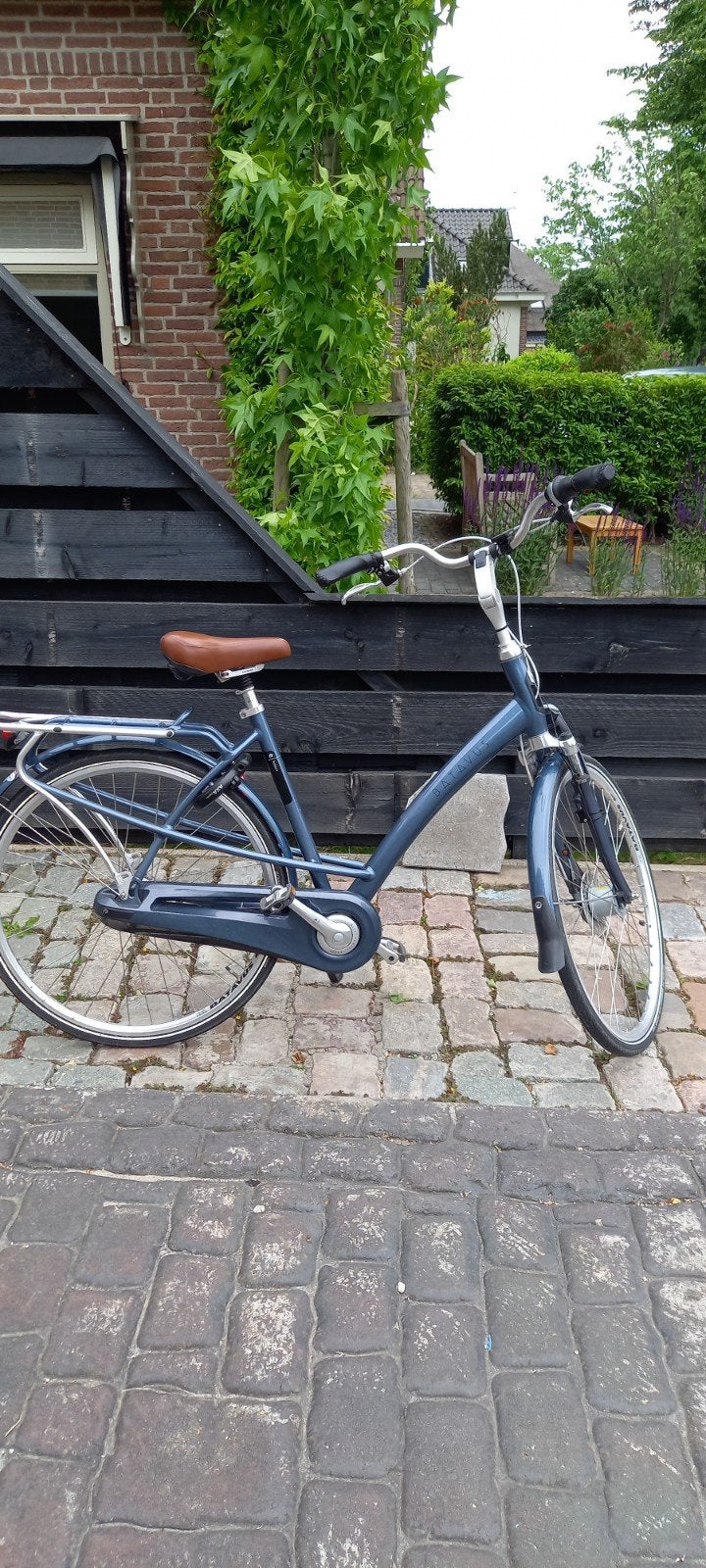 Nette Batavus Bolero Damesfiets, Ophalen, Versnellingen, Batavus, 53 tot 56 cm
