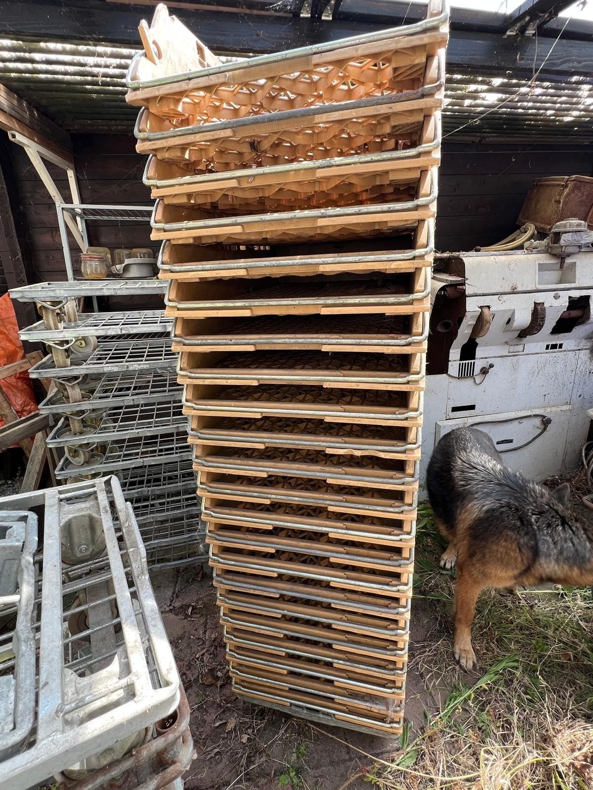 22 Broodkratten Broban met Dolly's, Doe-het-zelf en Verbouw, Kratten en Dozen, Gebruikt, 100 cm of meer, 60 cm of meer, Ophalen of Verzenden