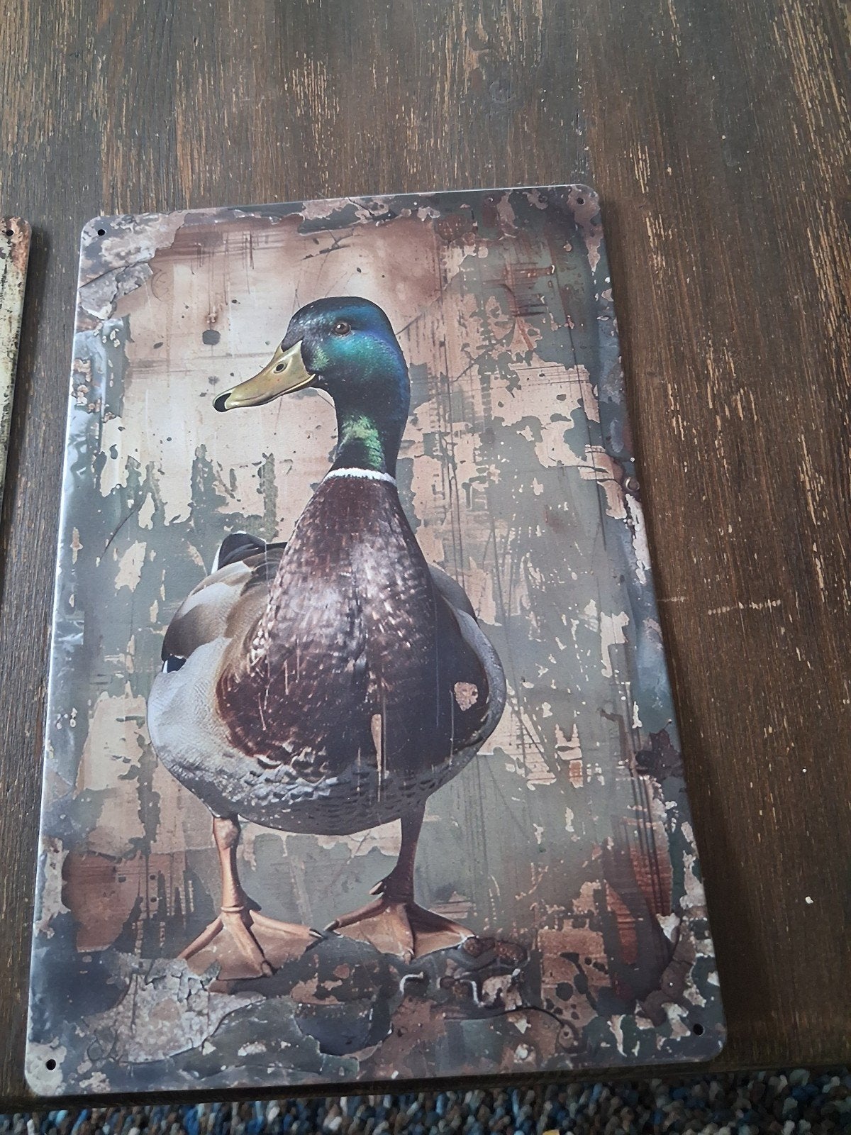 Decoratief metalen bord met eend - Vintage look, Ophalen, Vintage, Meerkleurig, Zo goed als nieuw