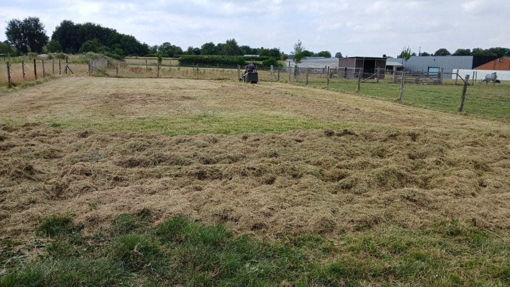 Maaien van weien en gazon en tuinonderhoud, Ophalen of Verzenden, Nieuw, 20 m² of meer, Gras