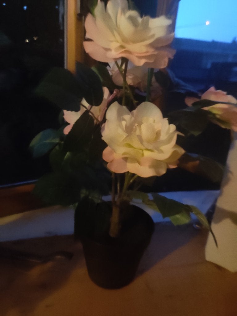 Fake plant, Ophalen of Verzenden, Bloeit niet, Overige soorten, Volledige schaduw