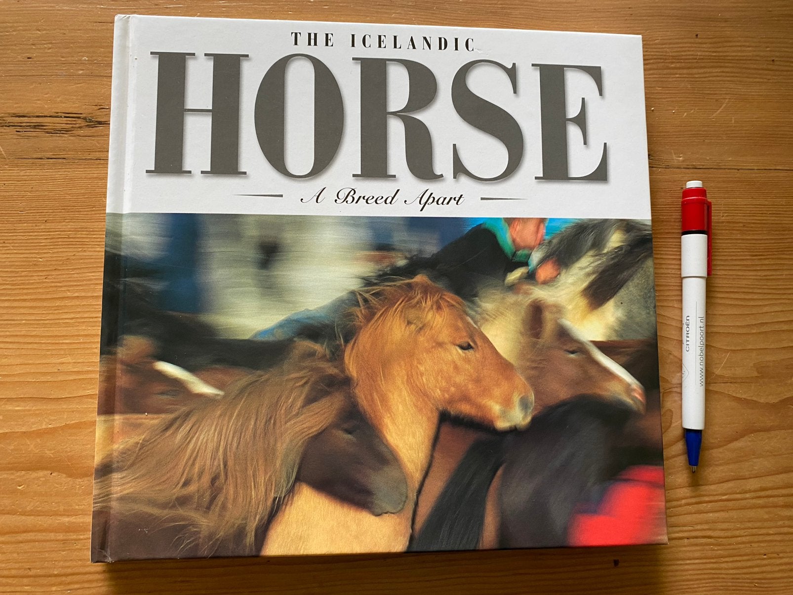 The Icelandic horse, Boeken, Ophalen of Verzenden, Zo goed als nieuw