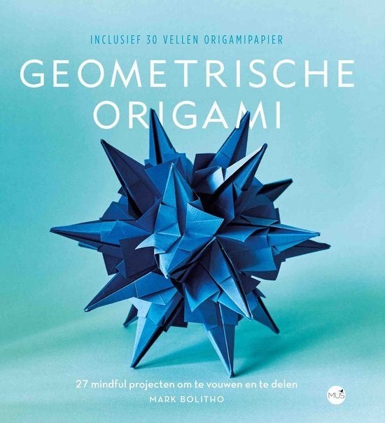 geometrische origami, Ophalen of Verzenden, Nieuw