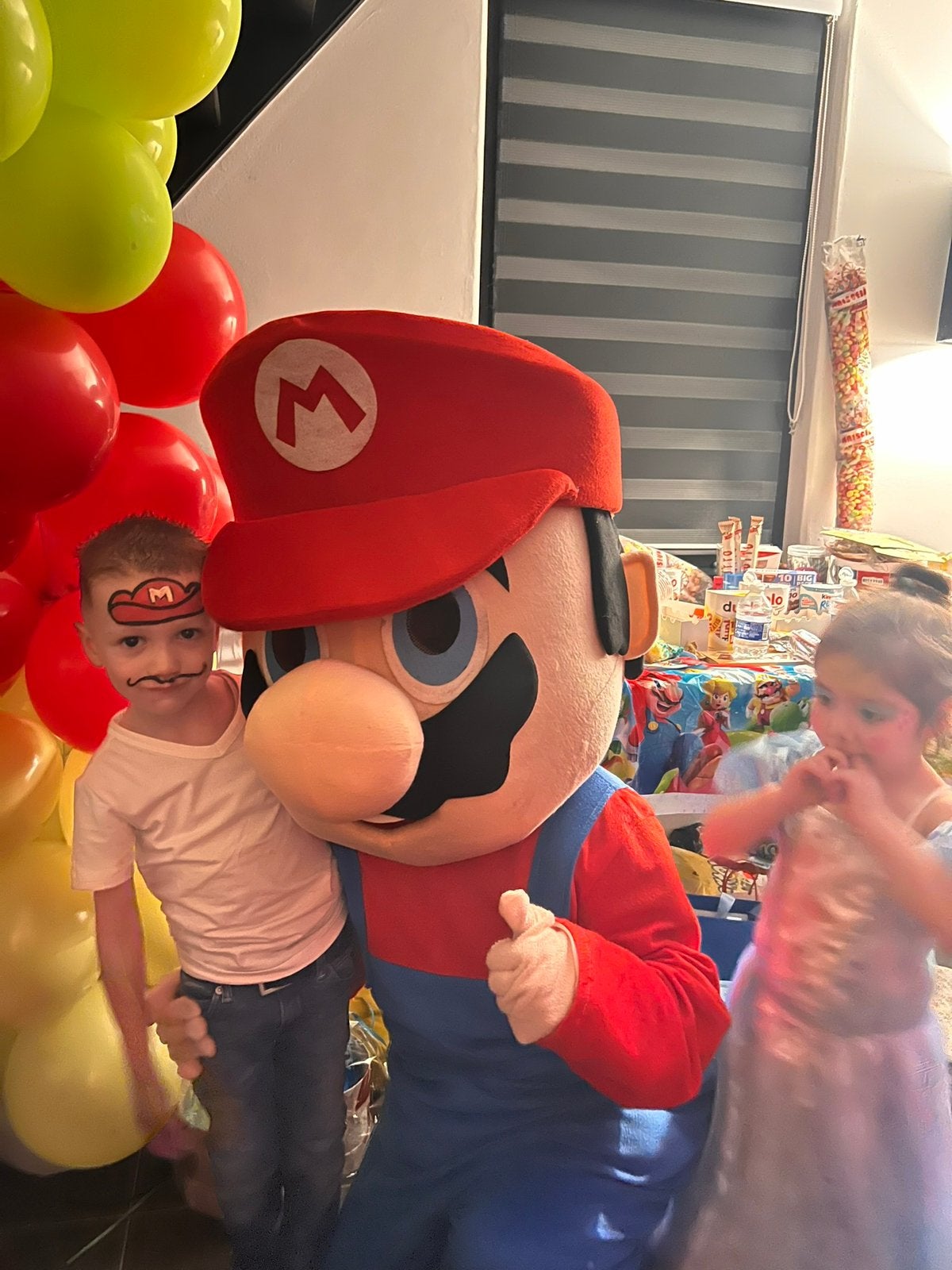 Super Mario mascotte met de leukste acteur op jouw feestje!, Ophalen, Zo goed als nieuw, Verjaardag