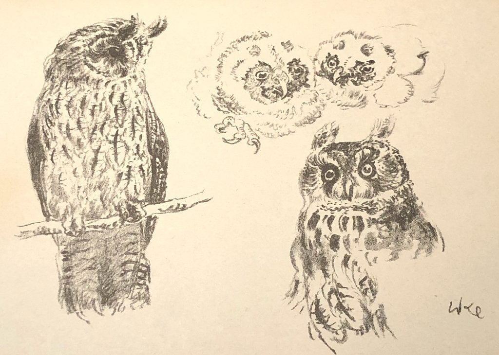 Mooie, betaalbare kunst v/h Grafiekkabinet Walther Klemm, Antiek en Kunst, Verzenden
