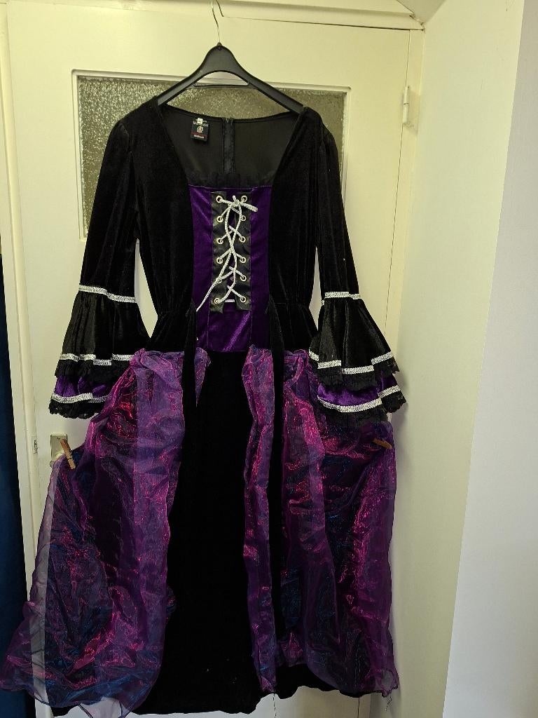 carnavalskleding, Kleding | Dames, Ophalen of Verzenden, Gedragen, Maat 38/40 (M), Carnaval
