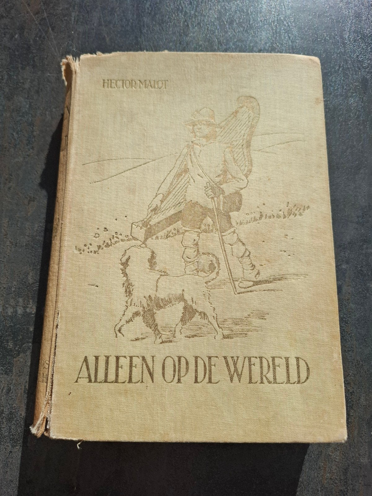 Hector Malot, Alleen op de wereld, Antiek en Kunst, Ophalen of Verzenden