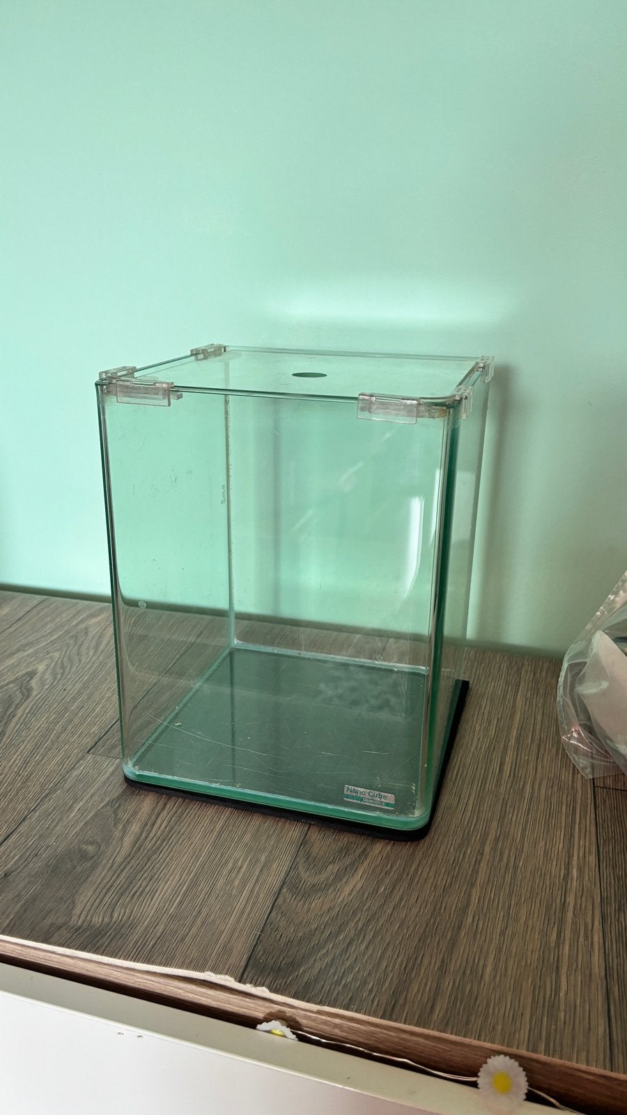 Nanocube dennerle, Ophalen