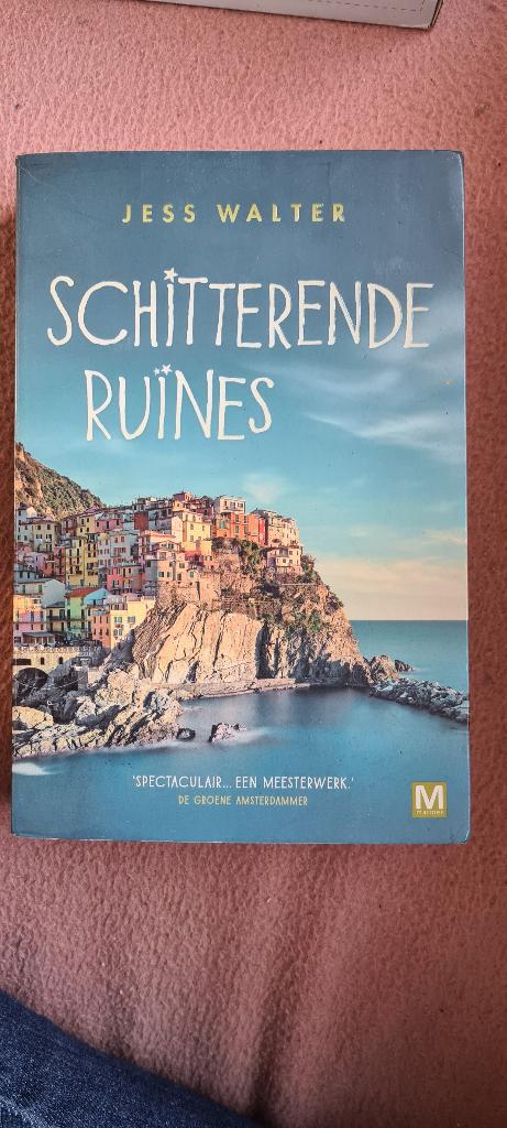 Boek Schitterende ruïnes. Jess walter, Ophalen, Zo goed als nieuw, Jess Walter