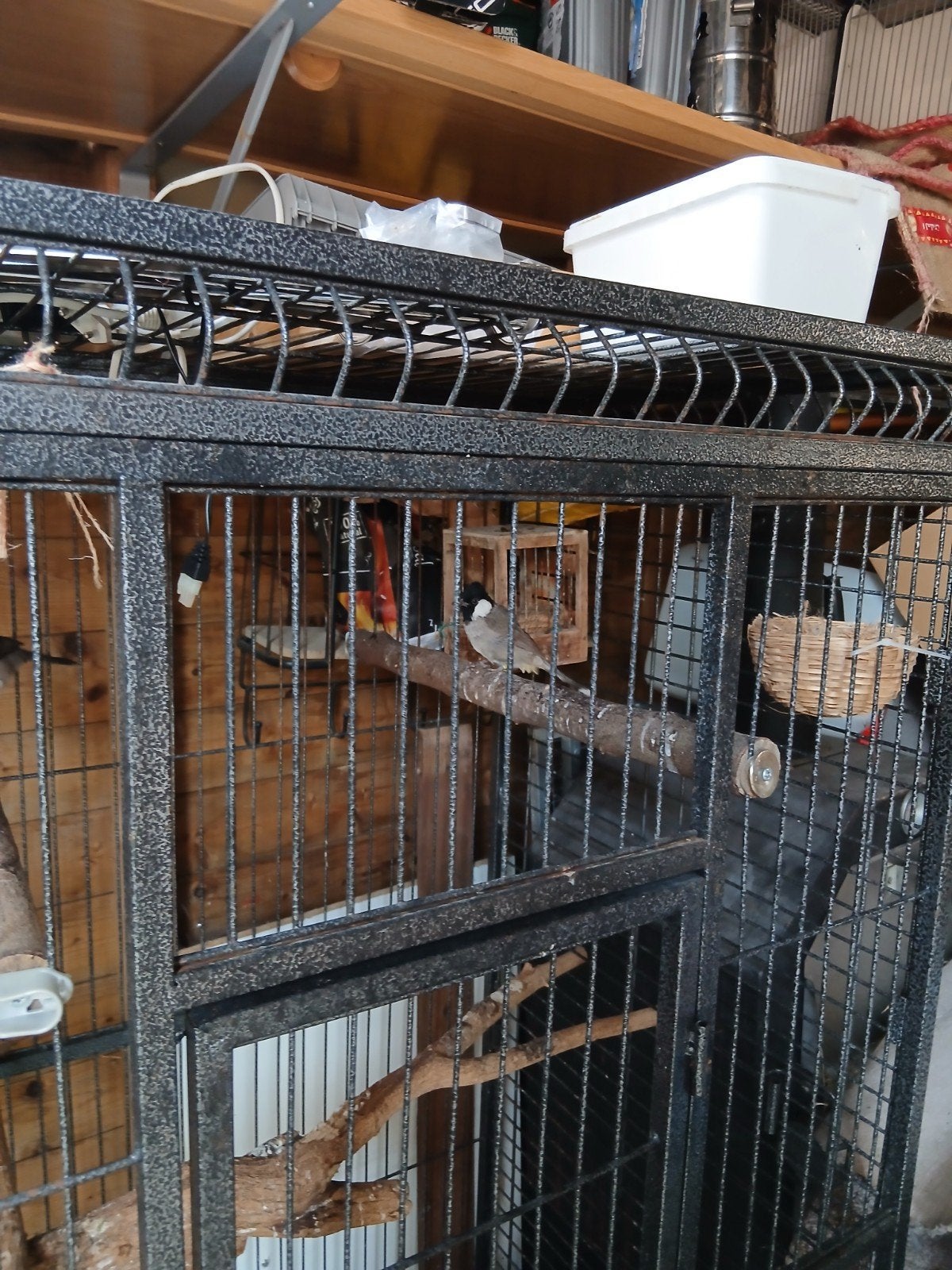 Een paar nachtegalen, Ophalen of Verzenden, Hout, Vogelkooi