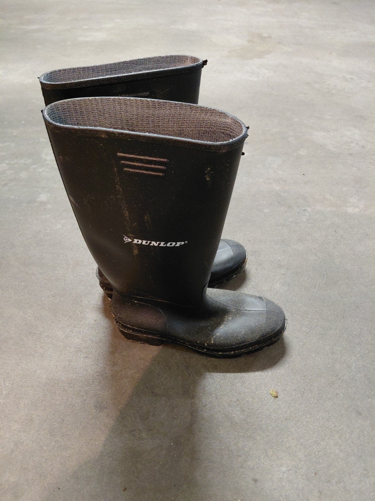 Dunlop Regenlaarzen - Maat 42, Ophalen of Verzenden, Gedragen, Zwart, Regenlaarzen