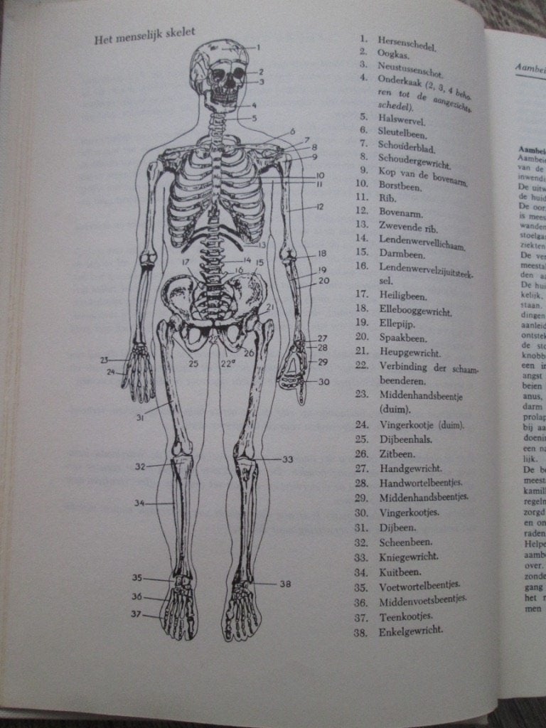 Boeken: gezondheid, verzorging, medisch, voeding [zie foto's, Ophalen of Verzenden, Beta, Gelezen