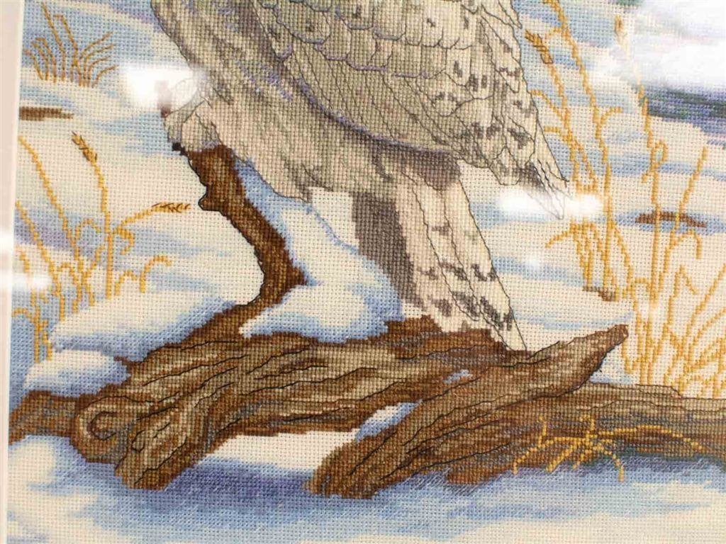 prent van een uil 29205, Ophalen of Verzenden, Voor 1920, Ongelopen, Vogel