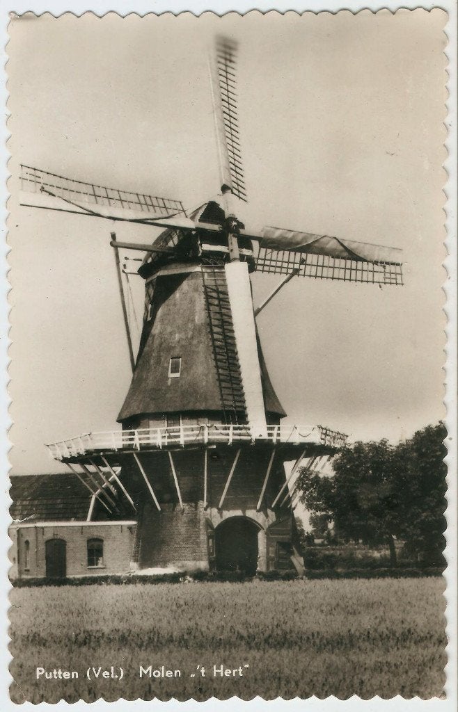 Putten (Vel.) Molen 't Hert ca. 1960, Ophalen of Verzenden, 1960 tot 1980, Gelopen, Gelderland