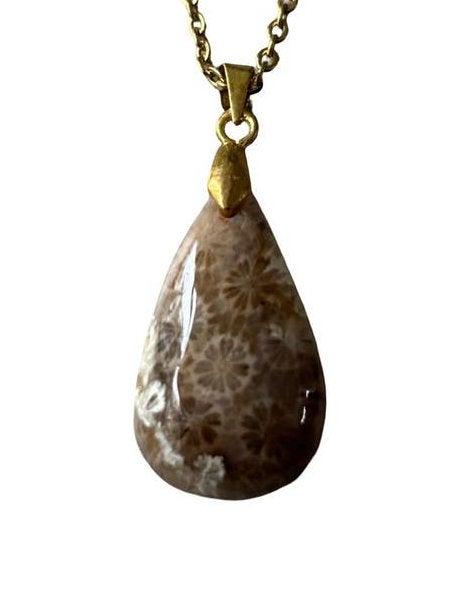 Fossielkoraal ketting met roestvrijstalen ketting, Met hanger, Bruin, Vanbeeksaar4@gmail.com, Nieuw