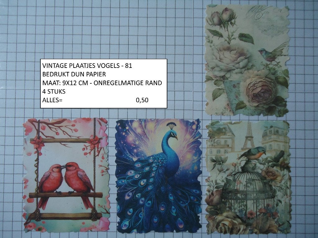⚠️nu 0,25: vintage plaatjes vogels 81 ( alleen verzenden, Hobby en Vrije tijd, Kaarten | Zelf maken, Ophalen, Nieuw, Dieren, Knipvel