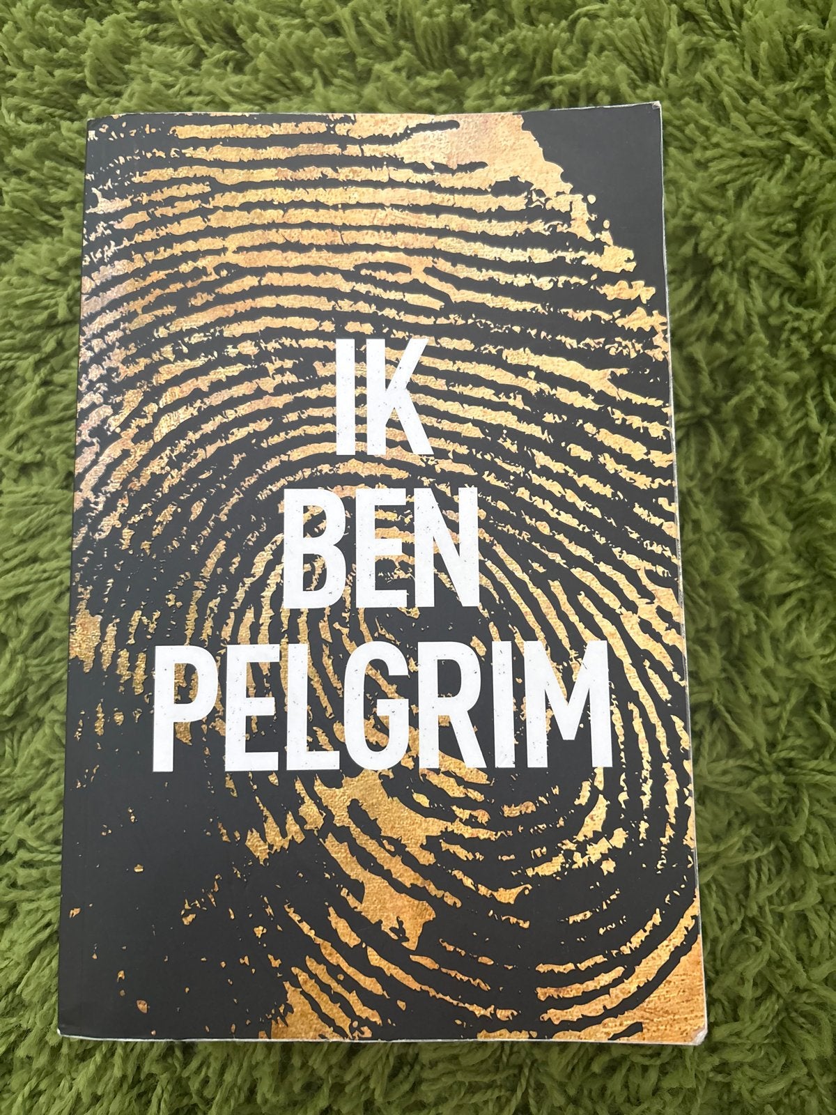 Ik Ben Pelgrim - Terry Hayes (Thriller), Ophalen of Verzenden, Gelezen, Wereld overig