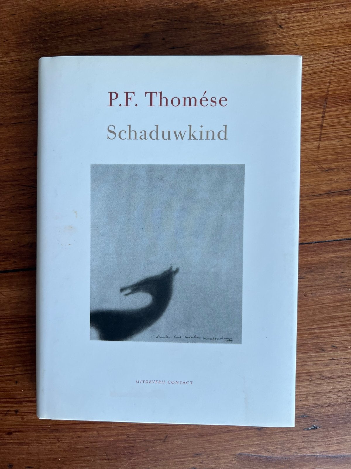 P.F. Thomése - Schaduwkind (Boek), Boeken, Ophalen of Verzenden, Gelezen, Nederland