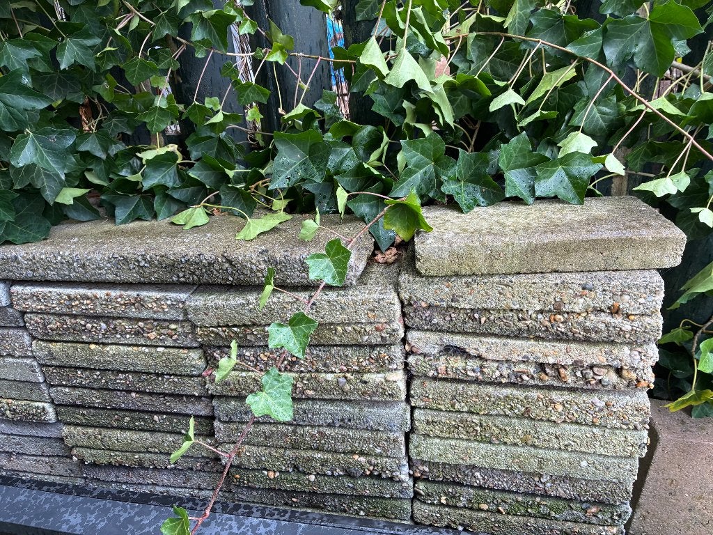 Gratis ophalen Stoeptegels terrastegels, Tuin en Terras, Ophalen, Gebruikt, Beton, Terrastegels