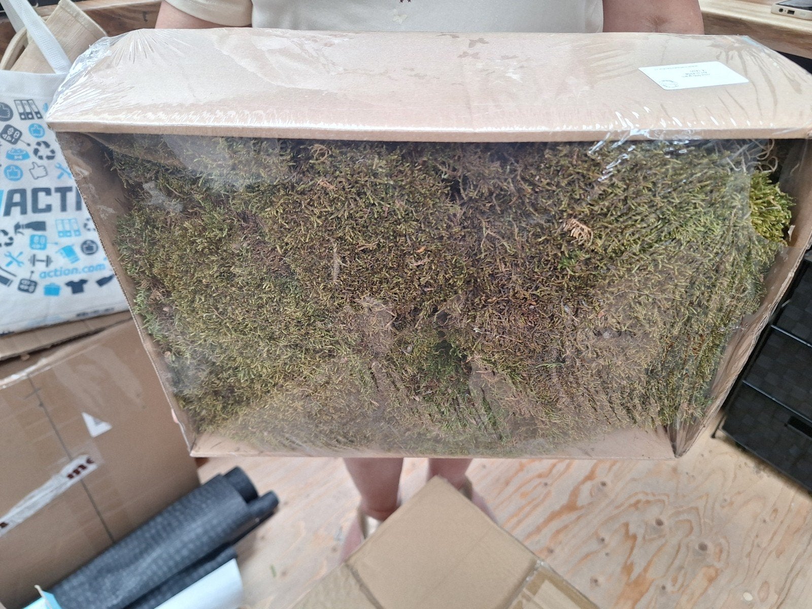 Grote partij workshop artikelen: mos, draad, krammen, parels, Nieuw, Ophalen of Verzenden, Natuurlijk materiaal, Overige merken