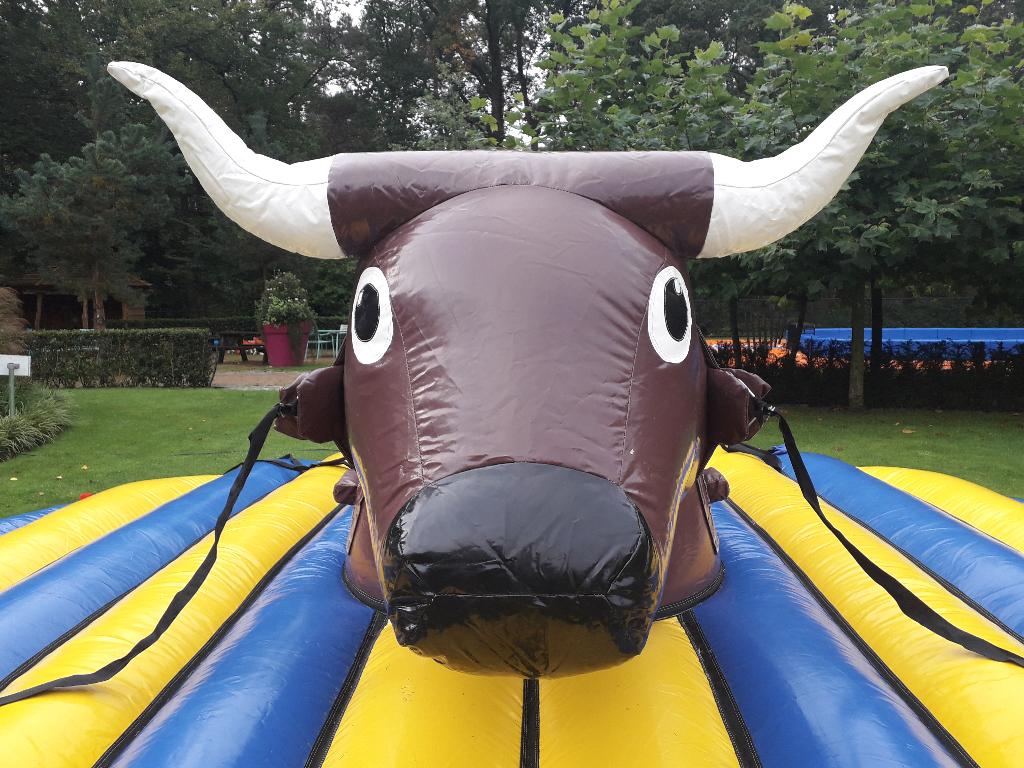 De leukste trekrodeo te huur Tilburg en regio, Hobby en Vrije tijd, Ophalen, Nieuw, Overige
