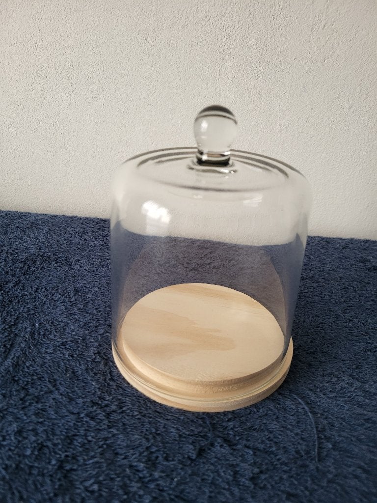 leuke kleine glazen stolp, Huis en Inrichting, Verzenden
