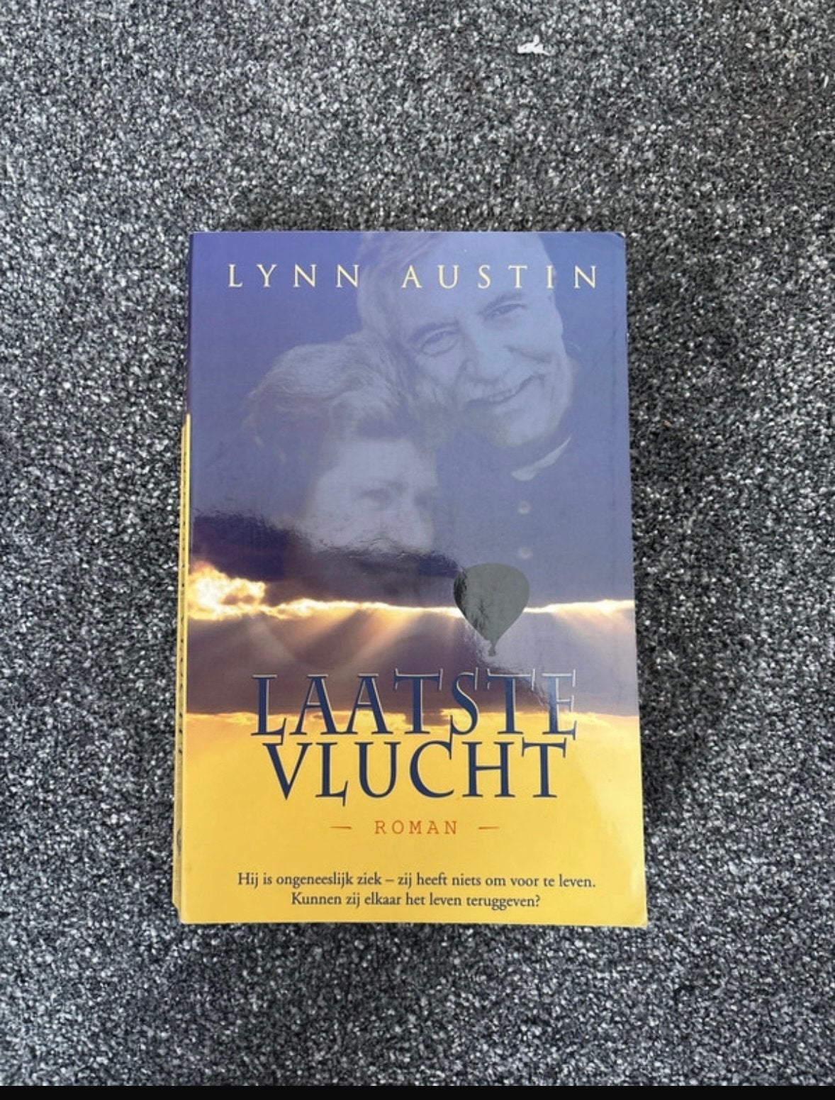 Laatste Vlucht - Lynn Austin (Roman), Ophalen of Verzenden, Gelezen, Nederland