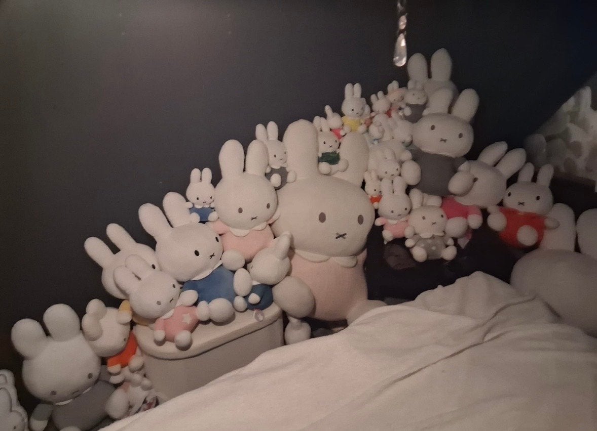 Grote collectie Nijntje knuffels - diverse maten en kleuren, Ophalen, Gebruikt, Overige merken, Konijn