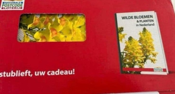 Nieuw: Wilde bloemen & planten in Nederland + veldgids, Boeken, Ophalen of Verzenden, Gelezen, Bloemen, Planten en Bomen