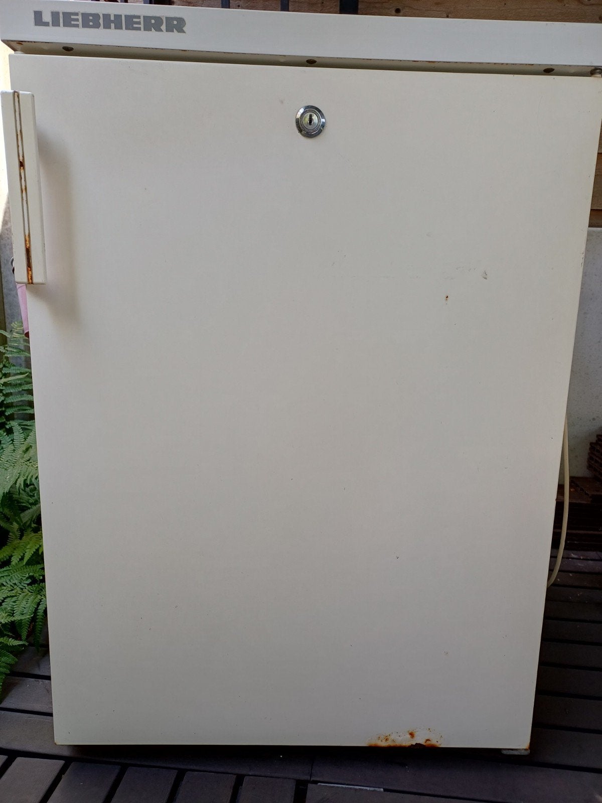 Liebherr Koeler - Bier- en Frisdrankenkoeler voor Studenten, Ophalen, Minder dan 75 liter, Zonder vriesvak, Gebruikt