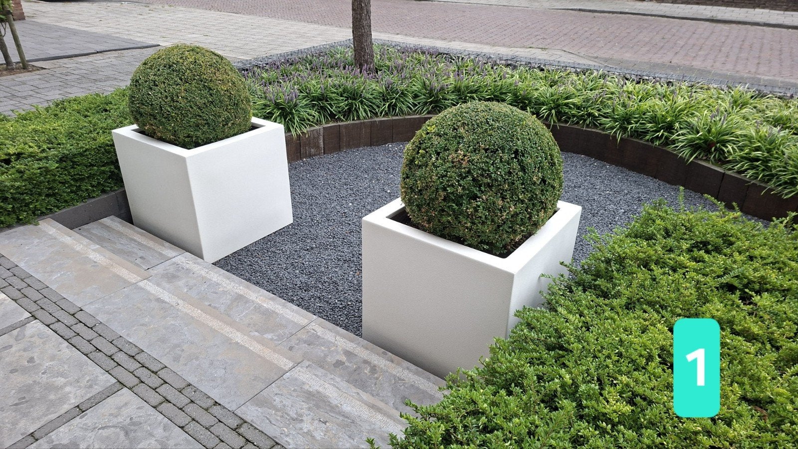 Diverse Buxusbollen, Tuin en Terras, Ophalen, Buxus, Struik, Minder dan 100 cm