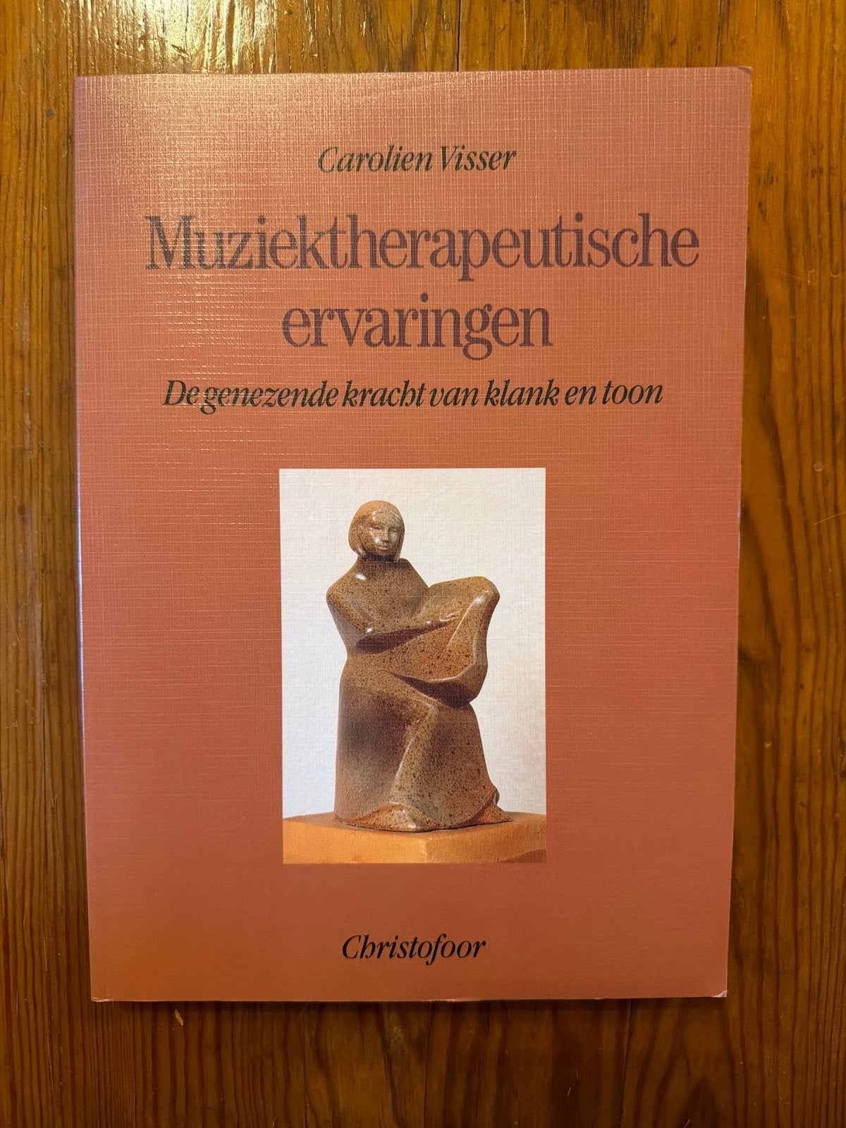 Muziektherapeutische ervaringen - Carolien Visser, Ophalen of Verzenden, Gelezen, Overige onderwerpen