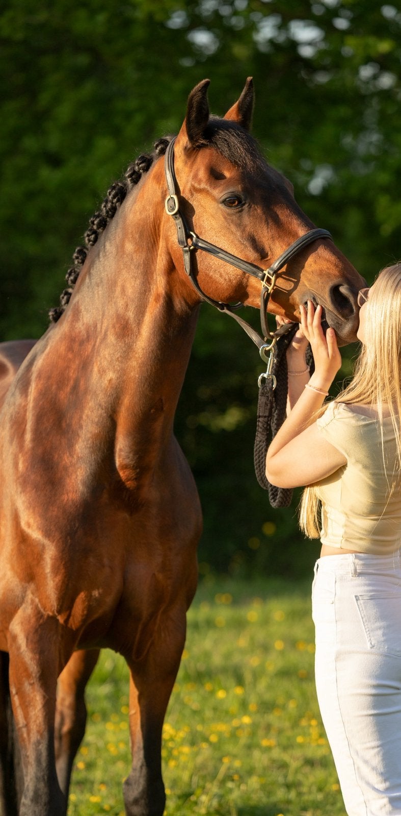 Lieve 13 jarige ruin, Ruin, L, 160 tot 165 cm, 11 jaar of ouder
