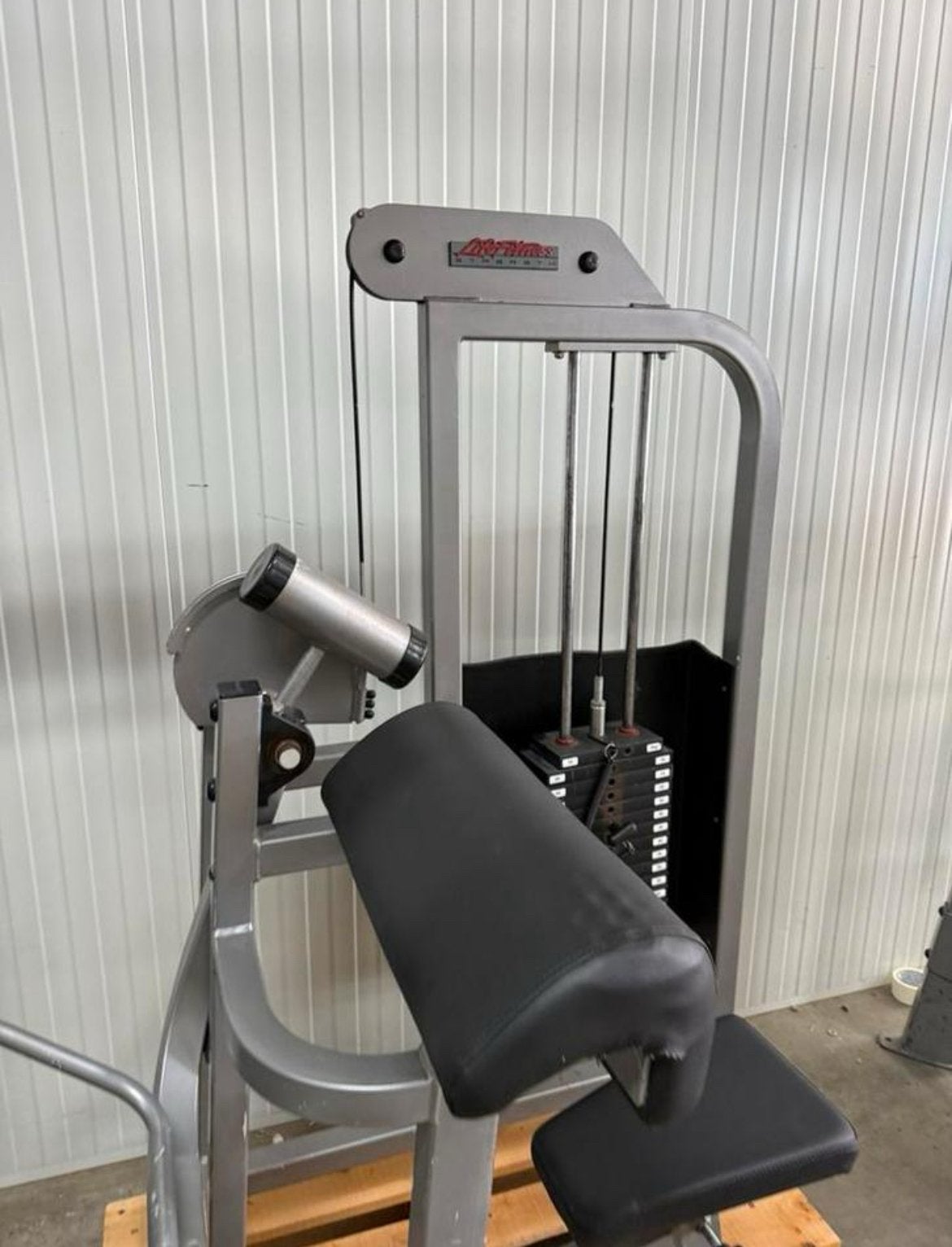 Life Fitness Pro 1 bicep curl / biceps / Bizeps / machine, Ophalen, Benen, Gebruikt, -