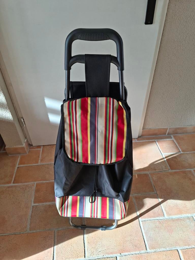 Boodschappentrolley met zitting, Ophalen, Zo goed als nieuw, 30 cm of meer