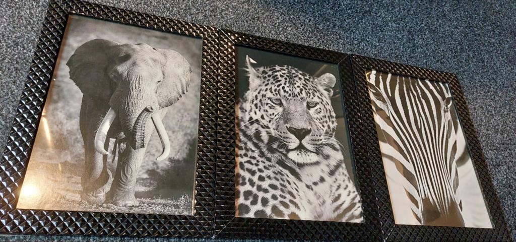 Dieren schilderijen, inclusief lijsten 34x25cm, 1980 tot heden, Foto, Ophalen of Verzenden, Zo goed als nieuw