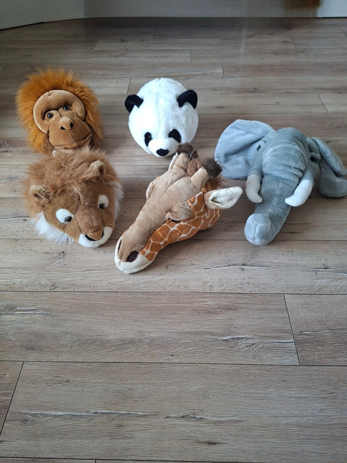 pluche dierenkoppen Olifant giraffe orang-oetan panda leeuw, Ophalen of Verzenden, Olifant