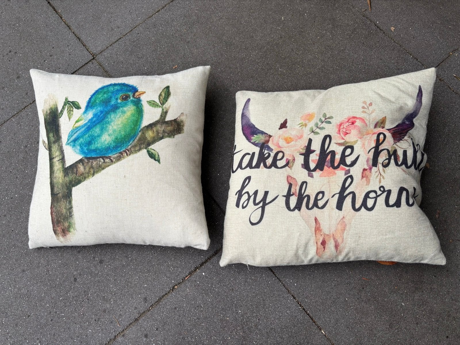 Set van 2 Sierkussens 45x45 cm met Print, Gebruikt, Meerkleurig, Met print, Vierkant