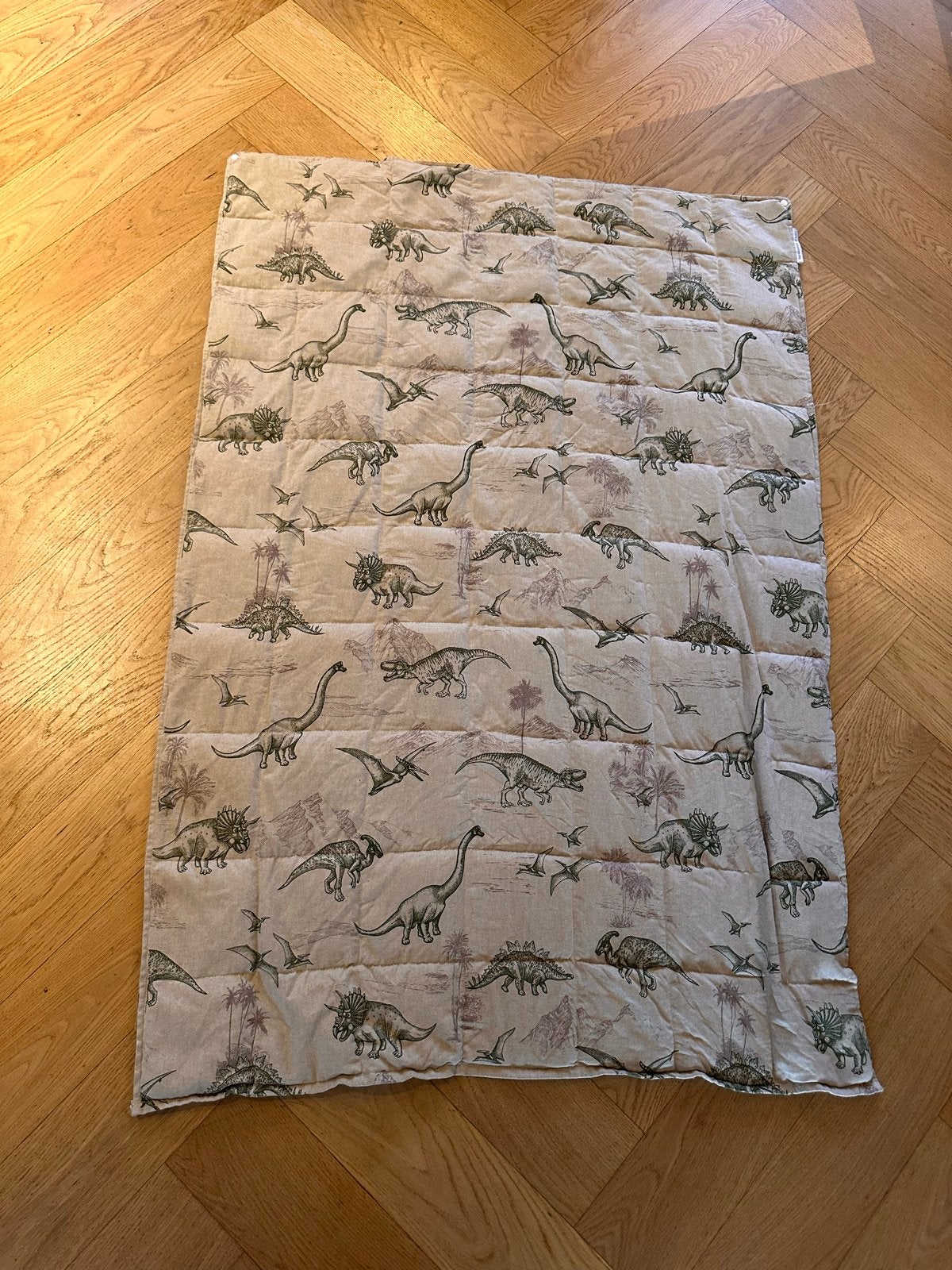 Verzwaringsdeken 6 kg Dino World - Liefs uit Giessenburg, Ophalen, Gebruikt, Overige kleuren, Jongetje of Meisje
