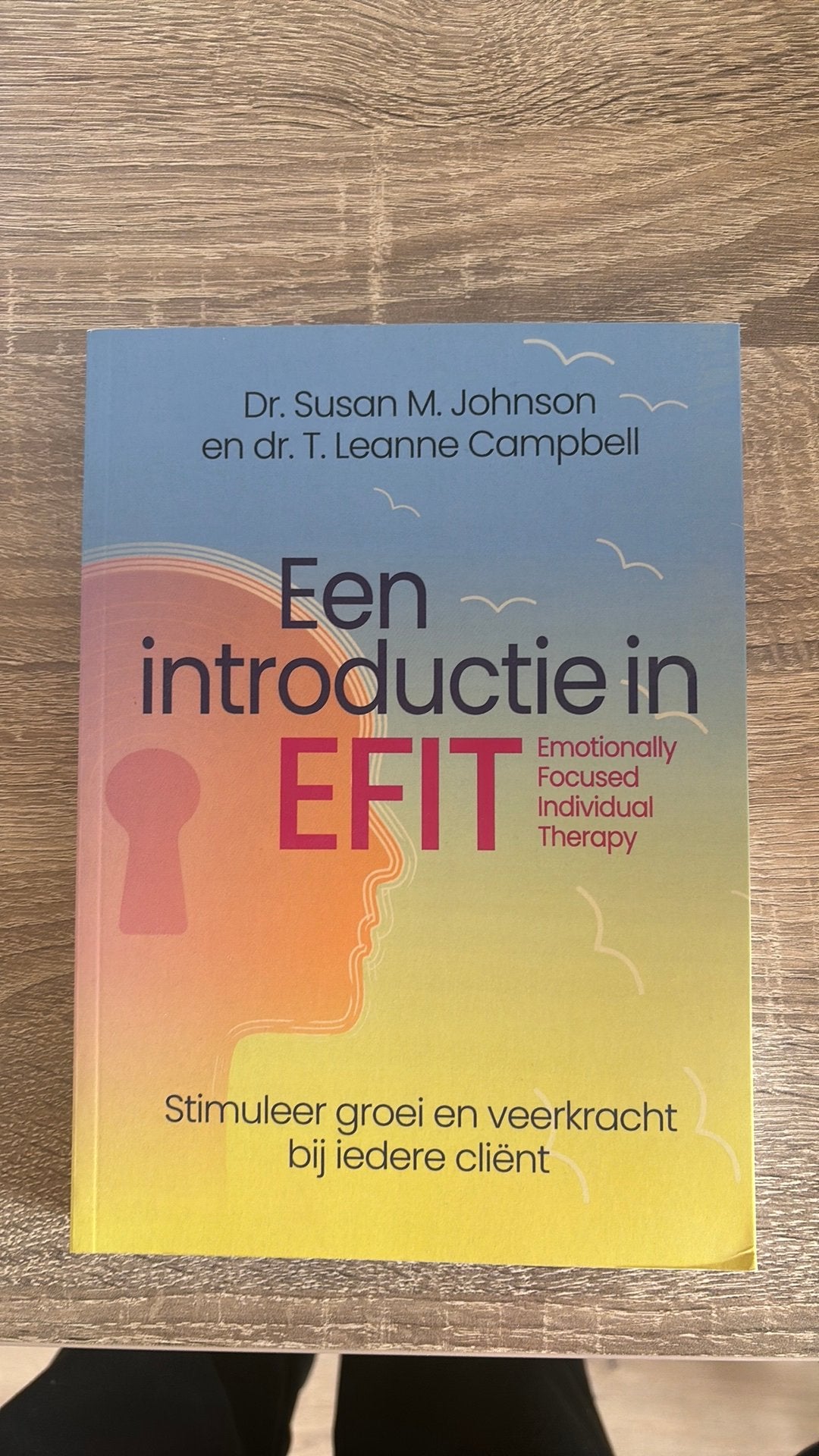 Een introductie in efit, Ophalen of Verzenden, Beta, Zo goed als nieuw, HBO